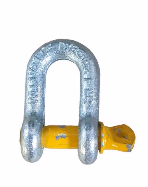 Shackle