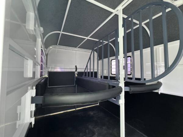 Square 2 HSL Standard Warmblood - Image 5