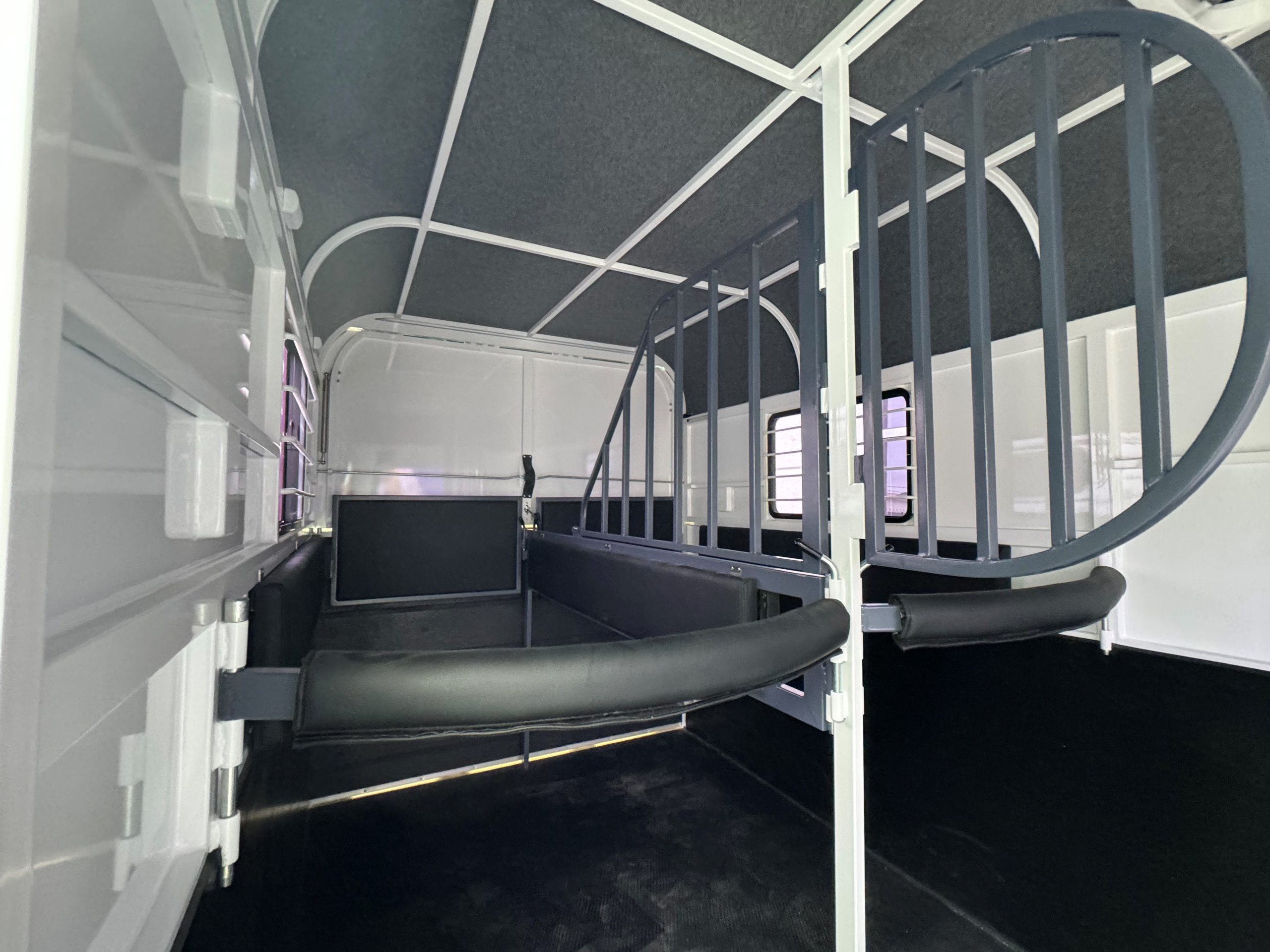 Square 2 HSL Deluxe Warmblood - Image 5