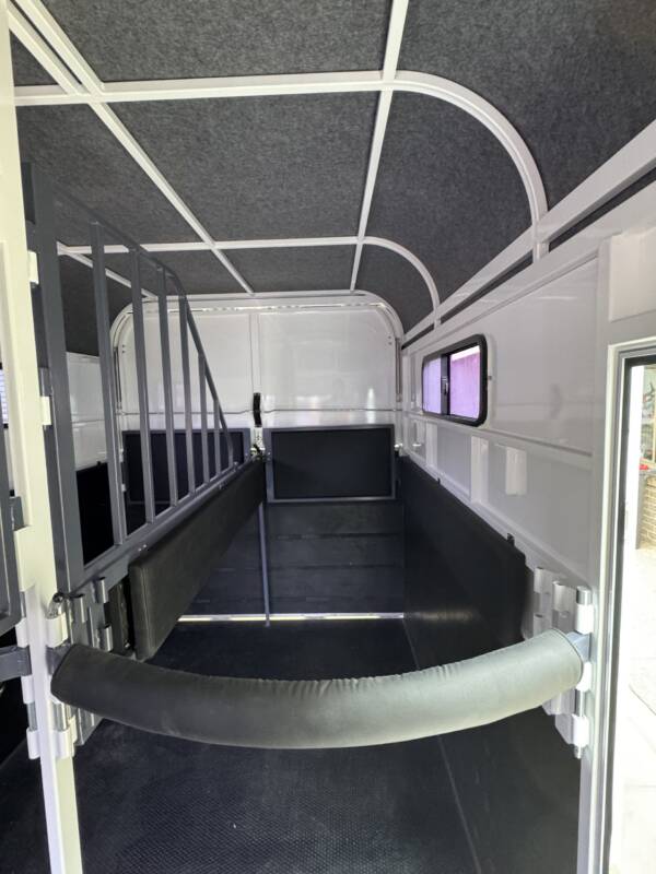 Square 2 HSL Standard Warmblood - Image 4