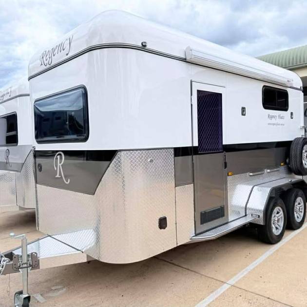 Square 2 HSL Standard Warmblood