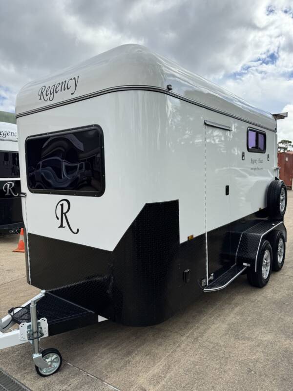 Square 2 HSL Standard Warmblood