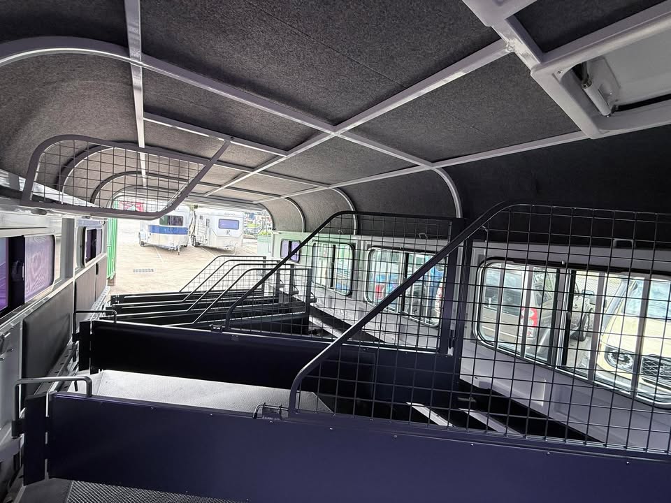 RF563 | IN STOCK | Round 3 HAL Deluxe or 6 HAL mini - Image 3