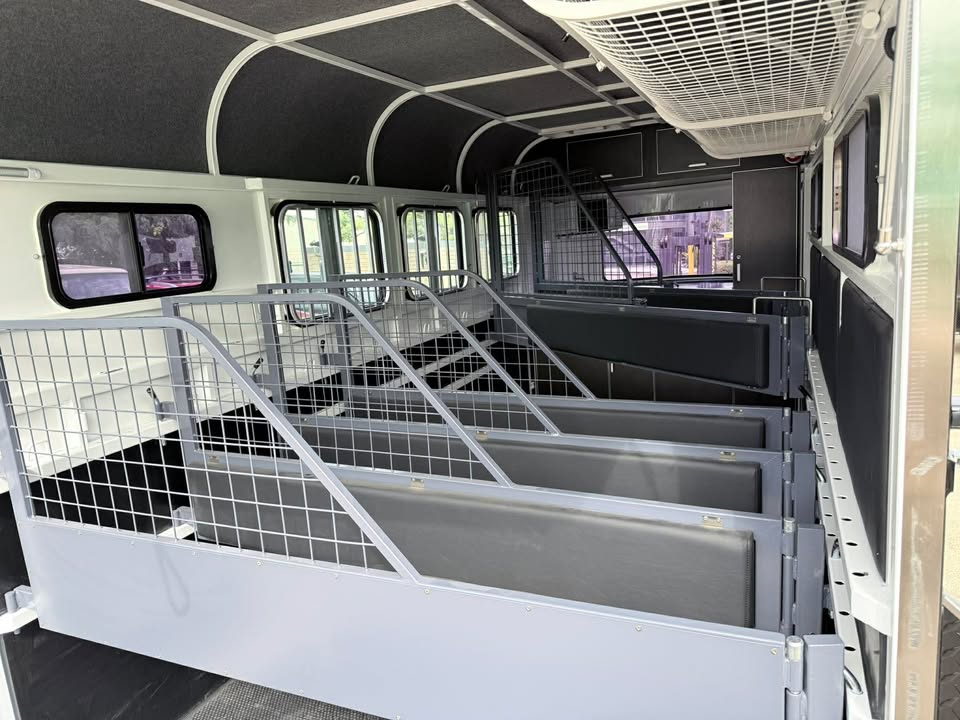 RF563 | IN STOCK | Round 3 HAL Deluxe or 6 HAL mini - Image 4