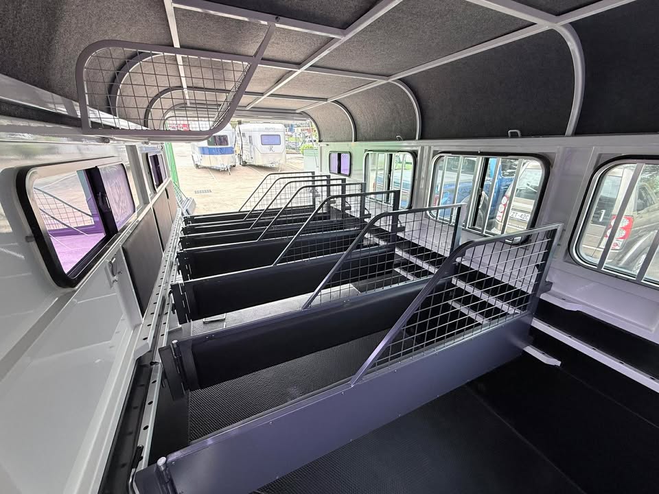 RF563 | IN STOCK | Round 3 HAL Deluxe or 6 HAL mini - Image 7