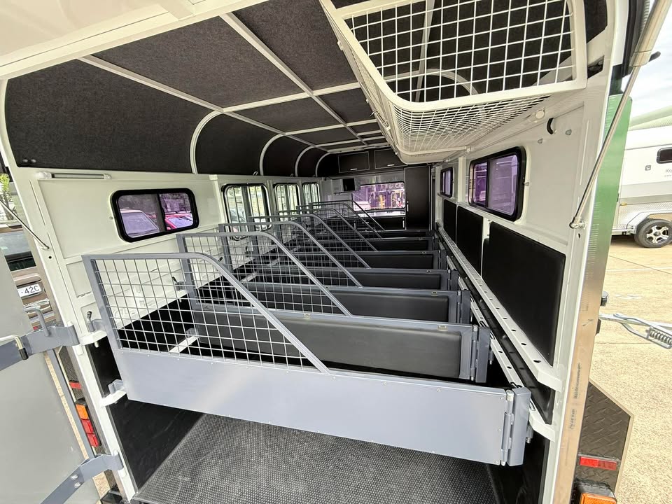 RF563 | IN STOCK | Round 3 HAL Deluxe or 6 HAL mini - Image 8