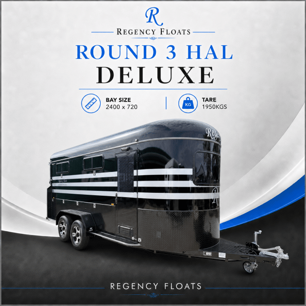 RF563 | IN STOCK | Round 3 HAL Deluxe