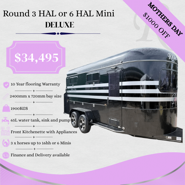 RF563 | IN STOCK | Round 3 HAL Deluxe or 6 HAL mini
