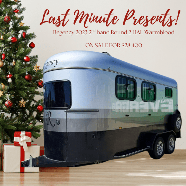 2nd Hand 2023 Round 2 HAL Warmblood