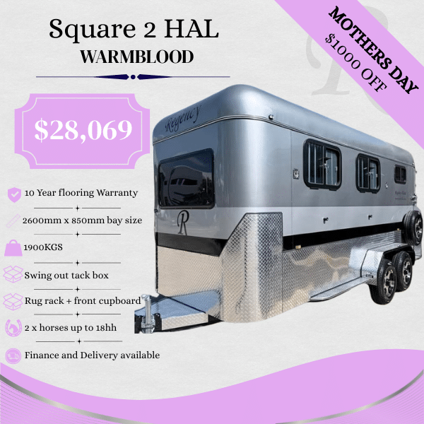 RF552 | IN STOCK | Square 2 HAL Standard Warmblood 2600mm x 820mm bays