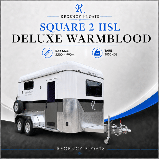 RF587 |JUNE STOCK| Square 2 HSL Deluxe Warmblood