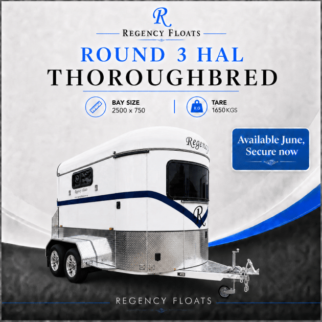 RF595 | JUNE STOCK | Round 3 HAL Thoroughbred