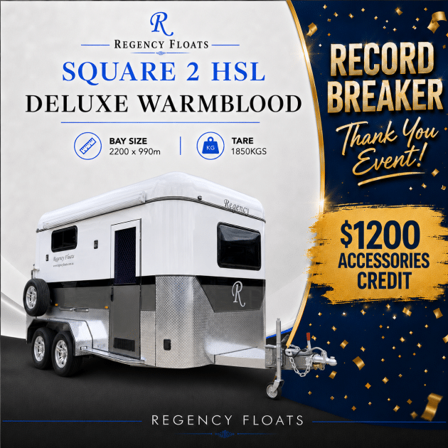 RF587 |JUNE STOCK| Square 2 HSL Deluxe Warmblood