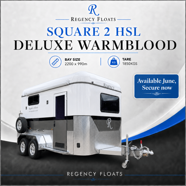 RF587 |JUNE STOCK| Square 2 HSL Deluxe Warmblood