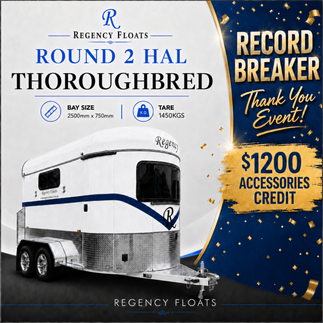 RF597 | IN STOCK | Round 2 HAL Thoroughbred