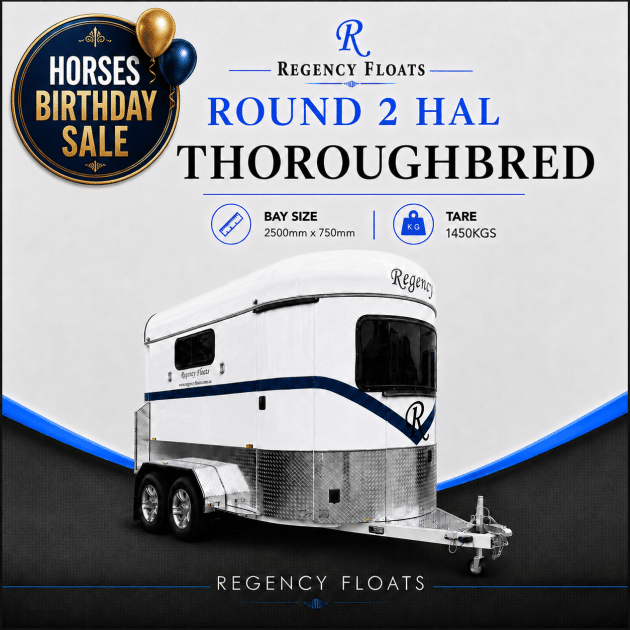 RF597 | IN STOCK | Round 2 HAL Thoroughbred