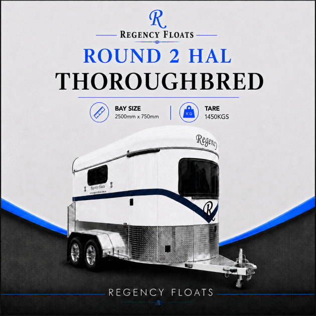 RF597 | IN STOCK | Round 2 HAL Thoroughbred