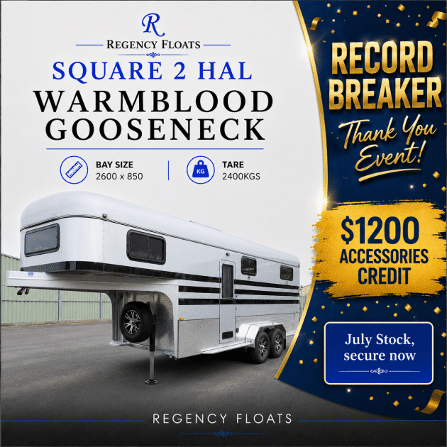 RF590| IN STOCK | 2 HAL WARMBLOOD GOOSENECK
