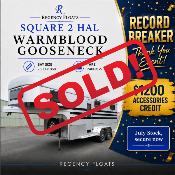 RF590| IN STOCK | 2 HAL WARMBLOOD GOOSENECK