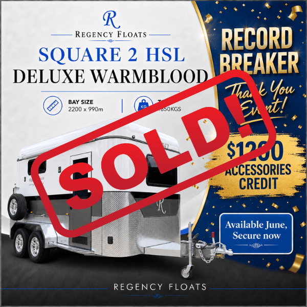 RF587 |JUNE STOCK| Square 2 HSL Deluxe Warmblood