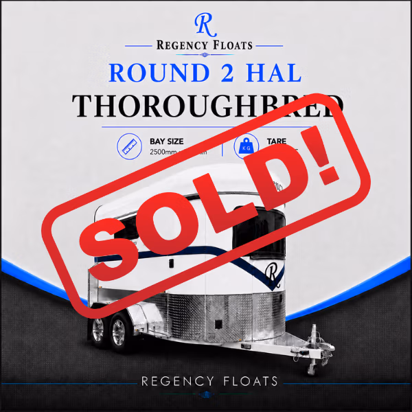 RF597 | IN STOCK | Round 2 HAL Thoroughbred