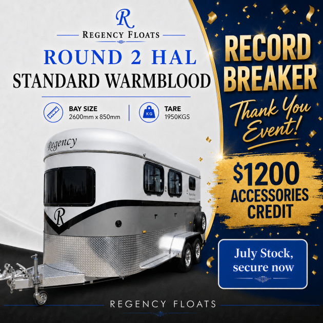 RF616 | JULY STOCK | Round 2 HAL Standard Warmblood
