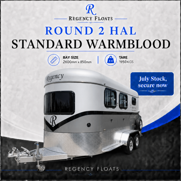 RF616 | JULY STOCK | Round 2 HAL Standard Warmblood