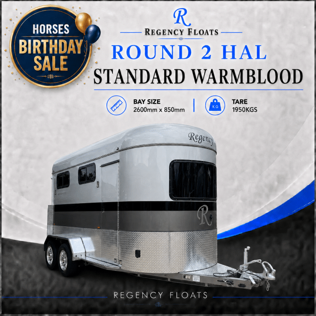 RF603 | IN STOCK | Round 2 HAL Standard Warmblood