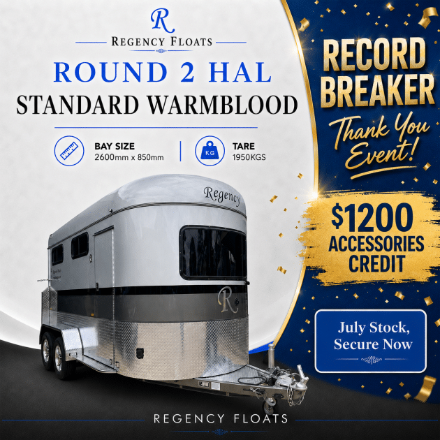 RF603 | JULY STOCK | Round 2 HAL Standard Warmblood