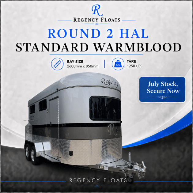 RF603 | JULY STOCK | Round 2 HAL Standard Warmblood