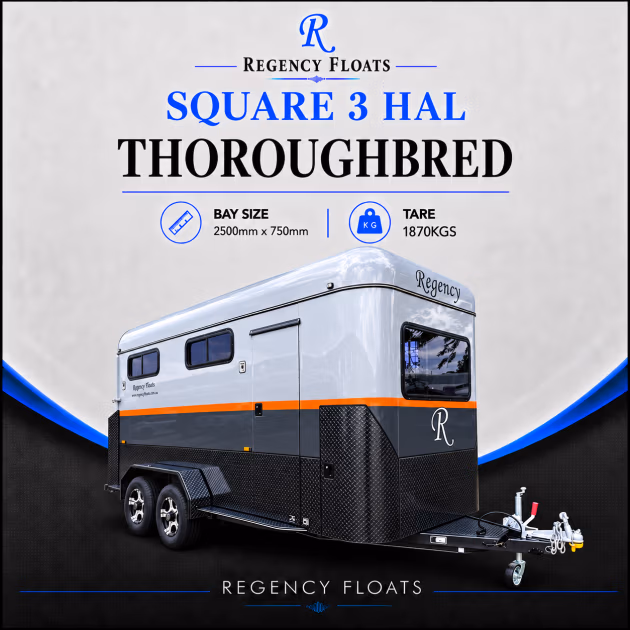 RF658 | OCTOBER STOCK | Square 3 HAL Thoroughbred 2500mm x 750mm bays