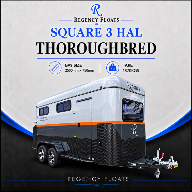 RF658 | OCTOBER STOCK | Square 3 HAL Thoroughbred 2500mm x 750mm bays