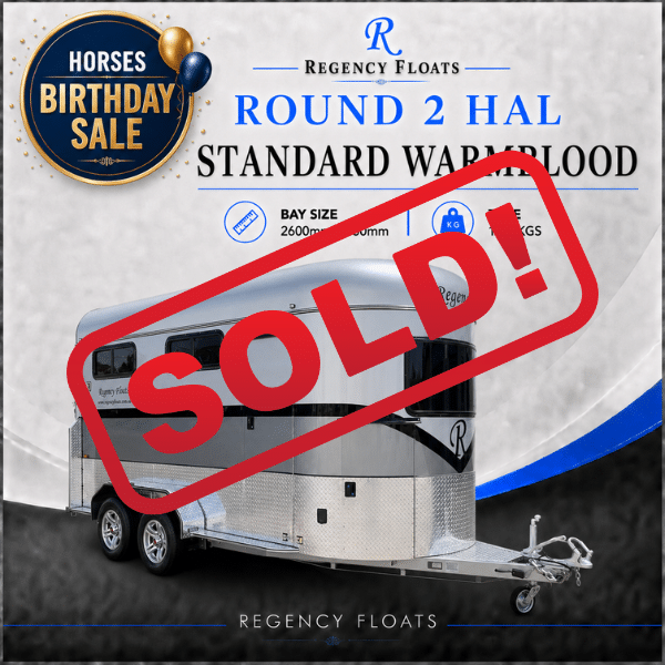 RF616 | IN STOCK | Round 2 HAL Standard Warmblood