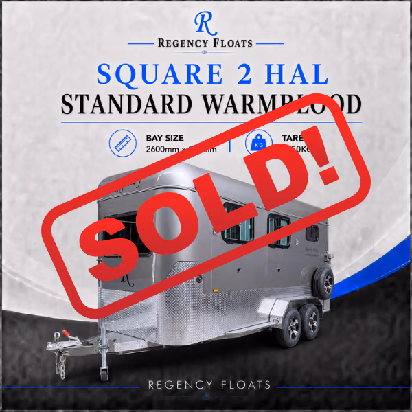 RF587 | IN STOCK | Square 2 HAL Standard Warmblood