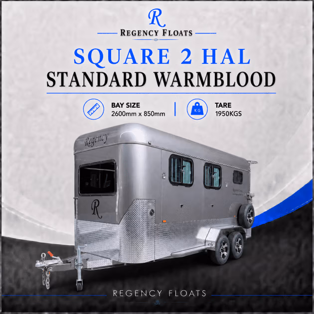 RF587 | IN STOCK | Square 2 HAL Standard Warmblood