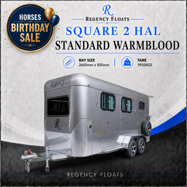 RF587 | IN STOCK | Square 2 HAL Standard Warmblood