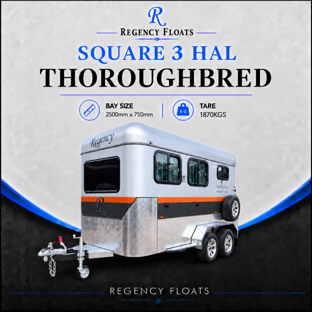 RF658 | OCTOBER STOCK | Square 3 HAL Thoroughbred 2500mm x 750mm bay