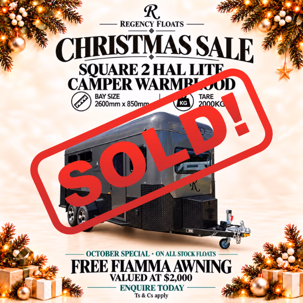 RF673 | NOVEMBER STOCK | Square 2 HAL LITE Camper Warmblood